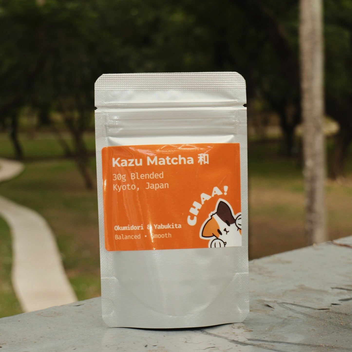 Kazu Matcha